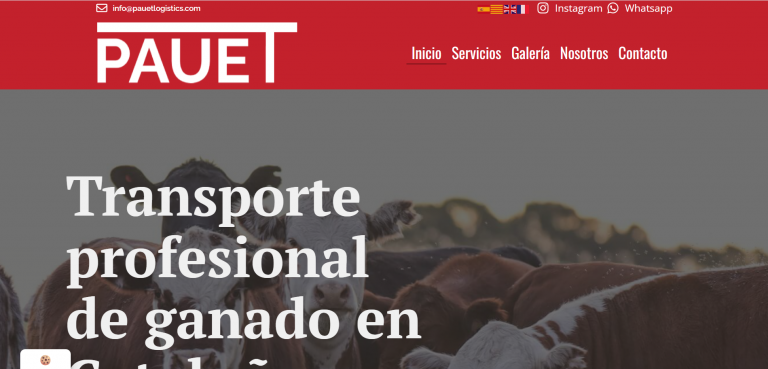 Pauet Logistics Proyecto